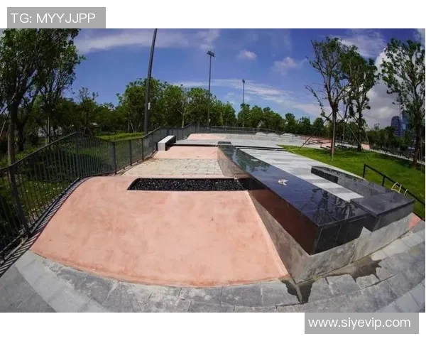 滑板战术与团队协作:深圳滑板队的成功运营模式探秘